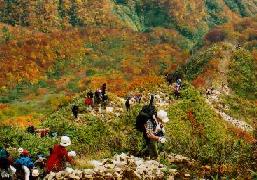 紅葉の稜線を進む登山者