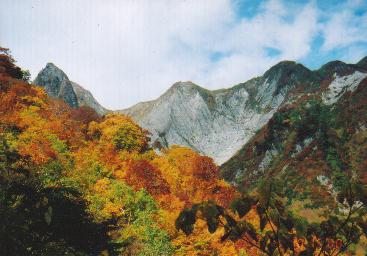 布団菱の岸壁