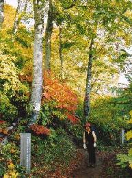 大海川からの尾根取付地点