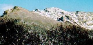 登山道から見た白毛門