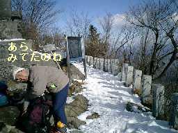 �R���ɂ͐Δ肪�����ς�