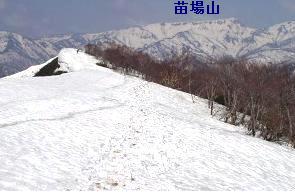 苗場山